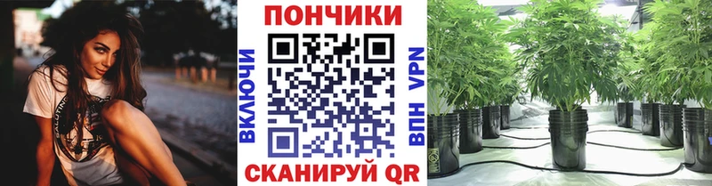 Где можно купить наркотики Кингисепп МДМА Псилоцибиновые грибы Меф ГАШИШ Каннабис АМФЕТАМИН КОКАИН