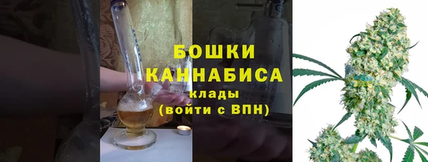 шишки Козельск