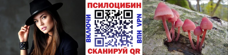 Псилоцибиновые грибы GOLDEN TEACHER mega tor Кингисепп наркотики