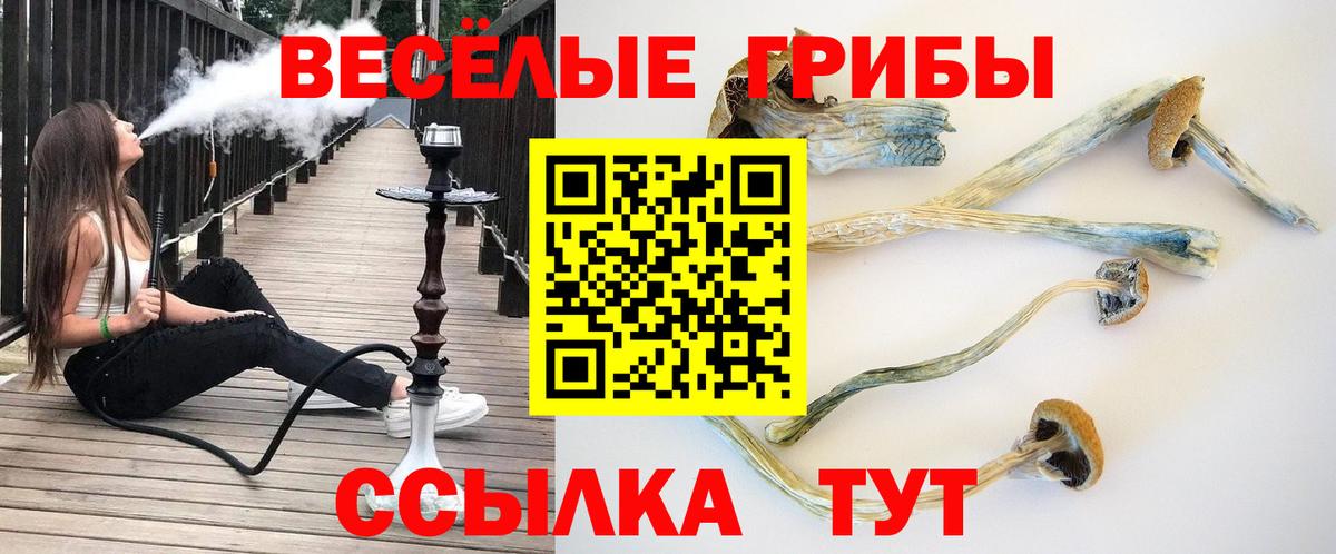 Галлюциногенные грибы мицелий Кингисепп